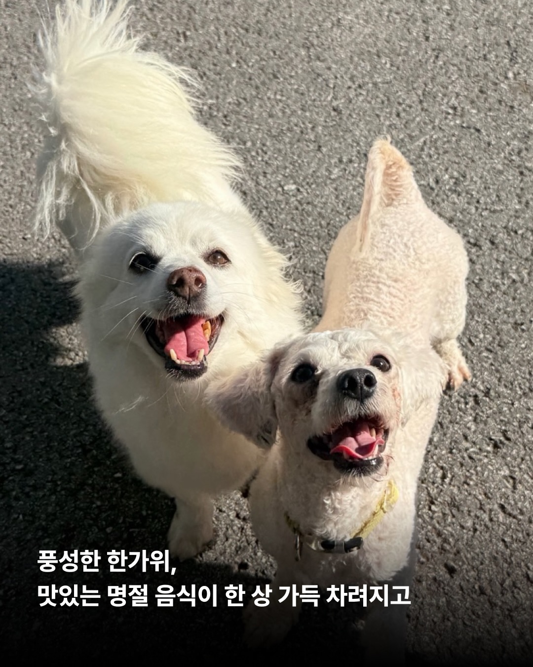 상세 사진 2
