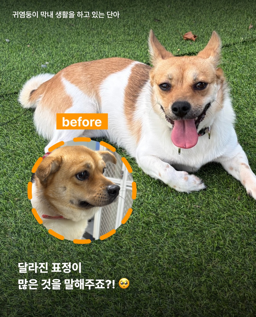 상세 사진 7