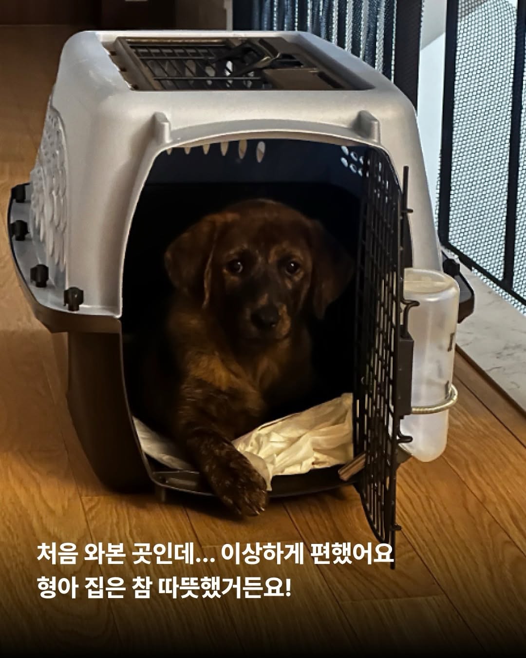 상세 사진 7