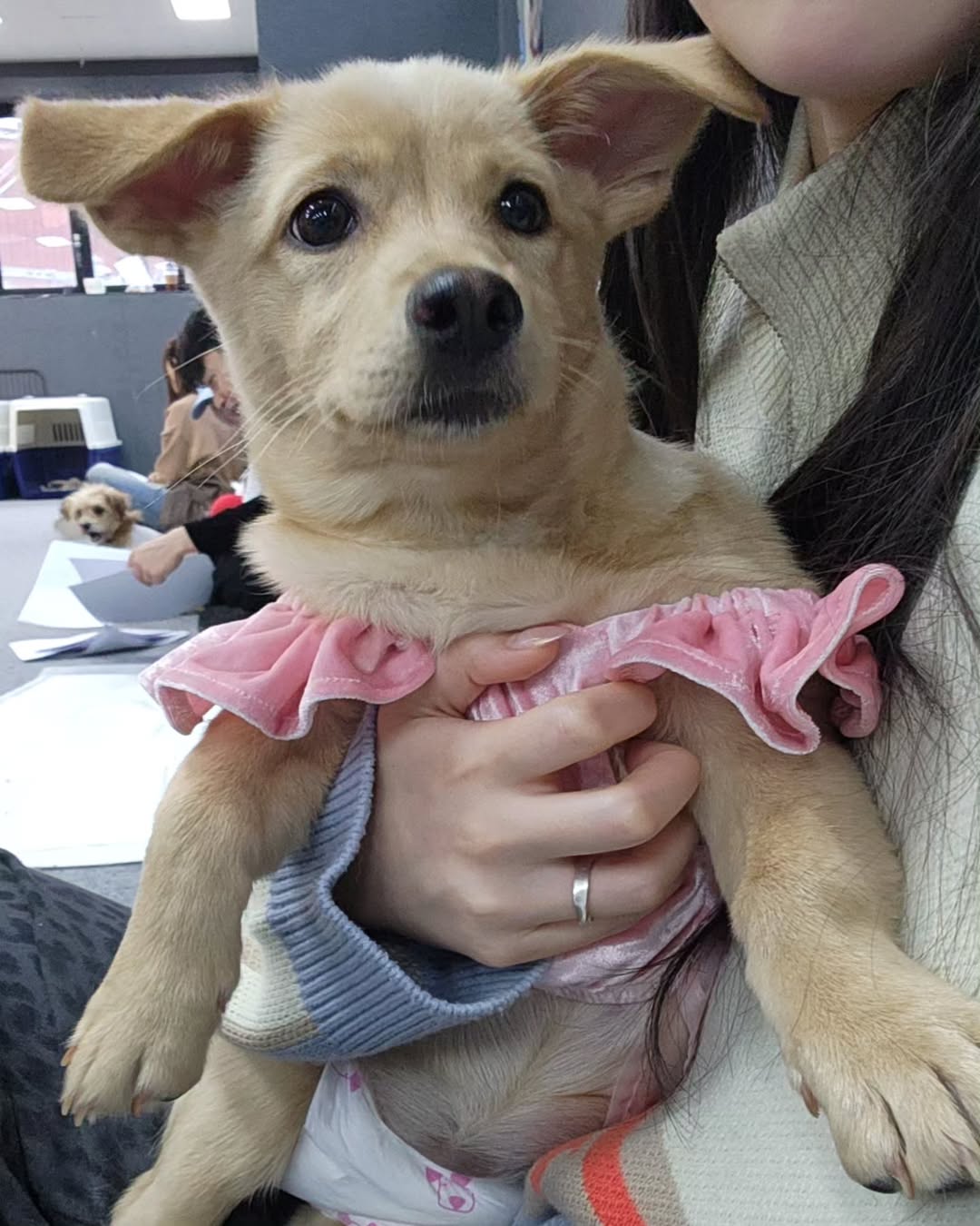 상세 사진 10
