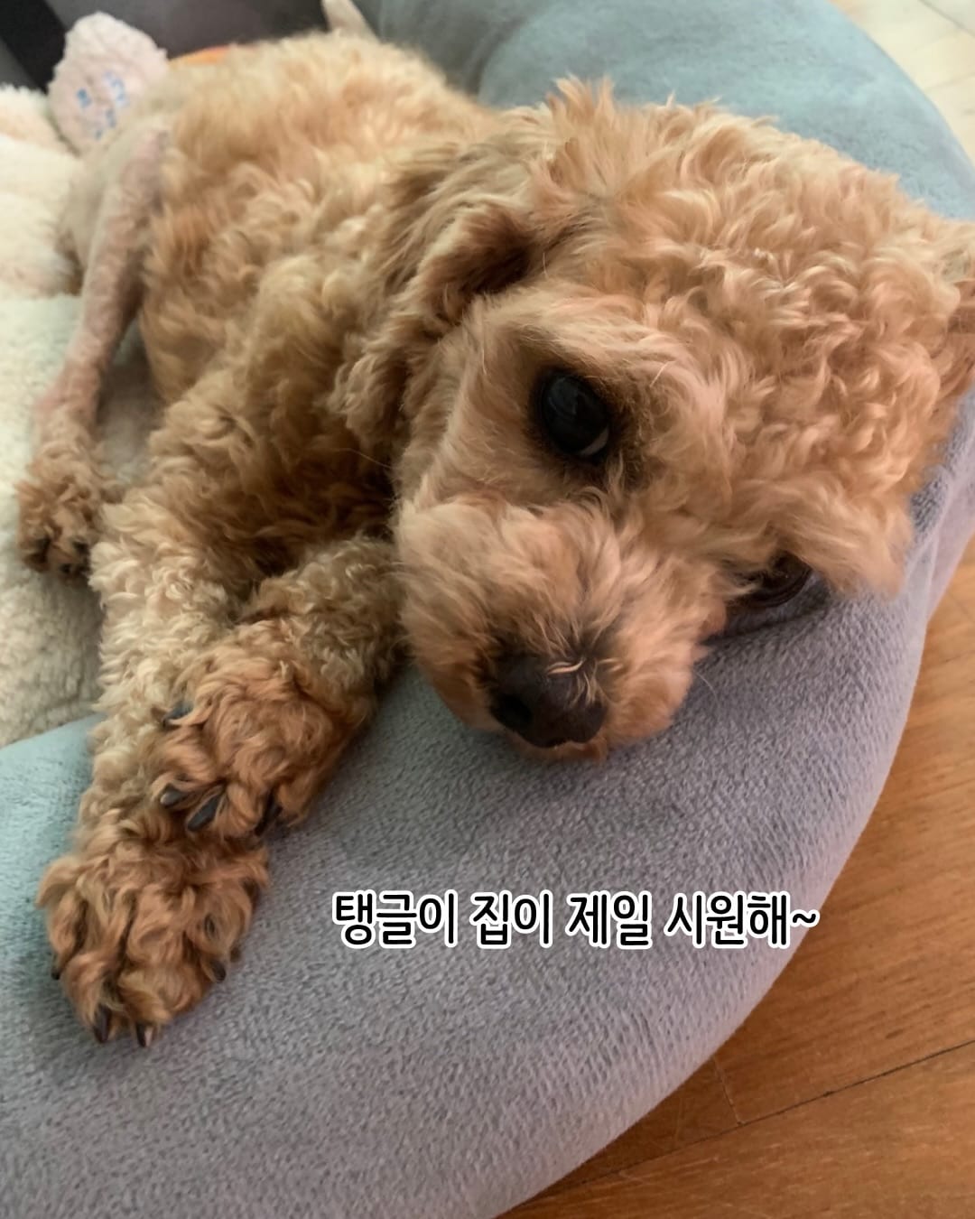 상세 사진 12