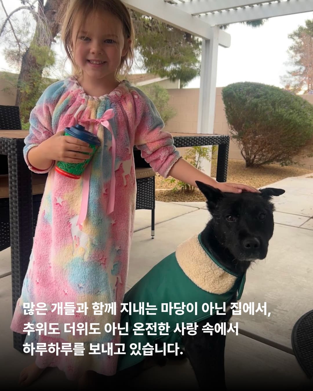 상세 사진 9