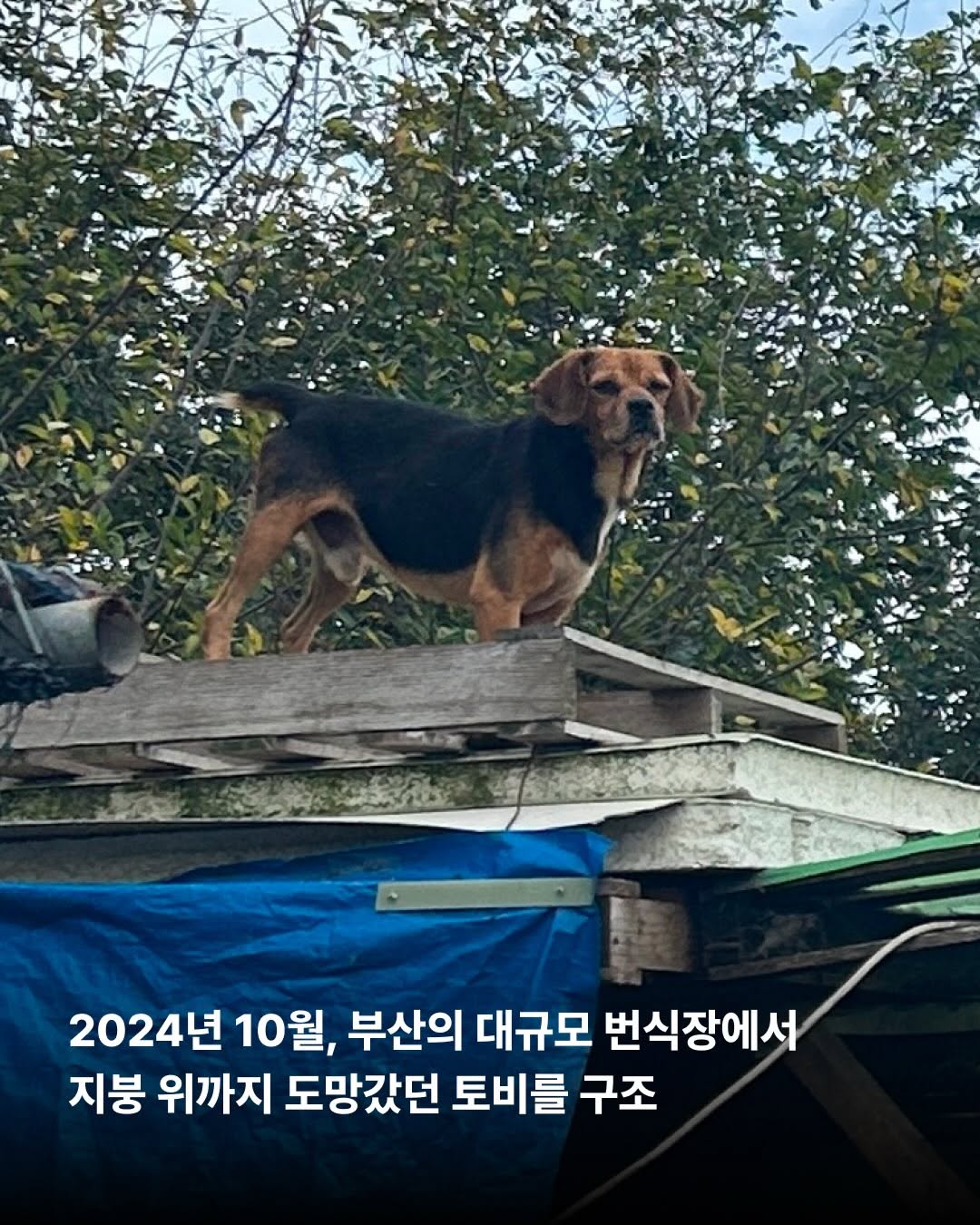 상세 사진 3