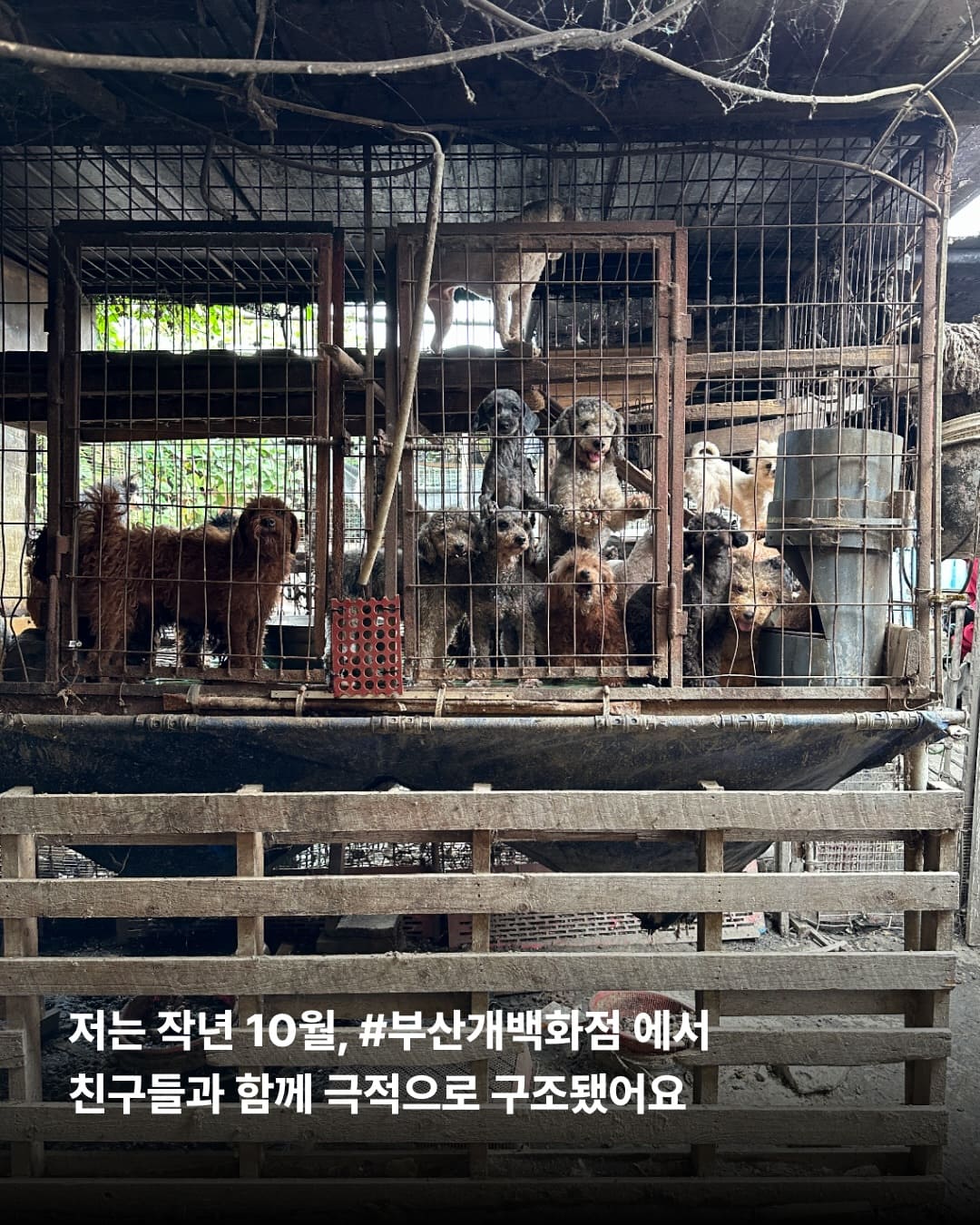 상세 사진 2