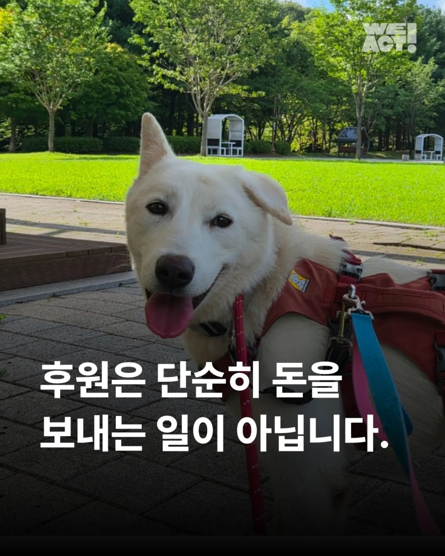 상세 사진 1