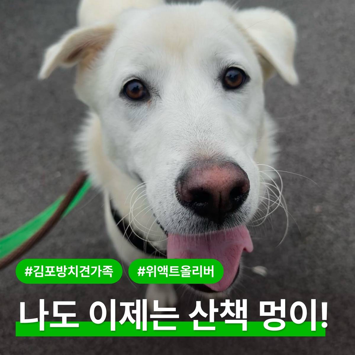 상세 사진 1
