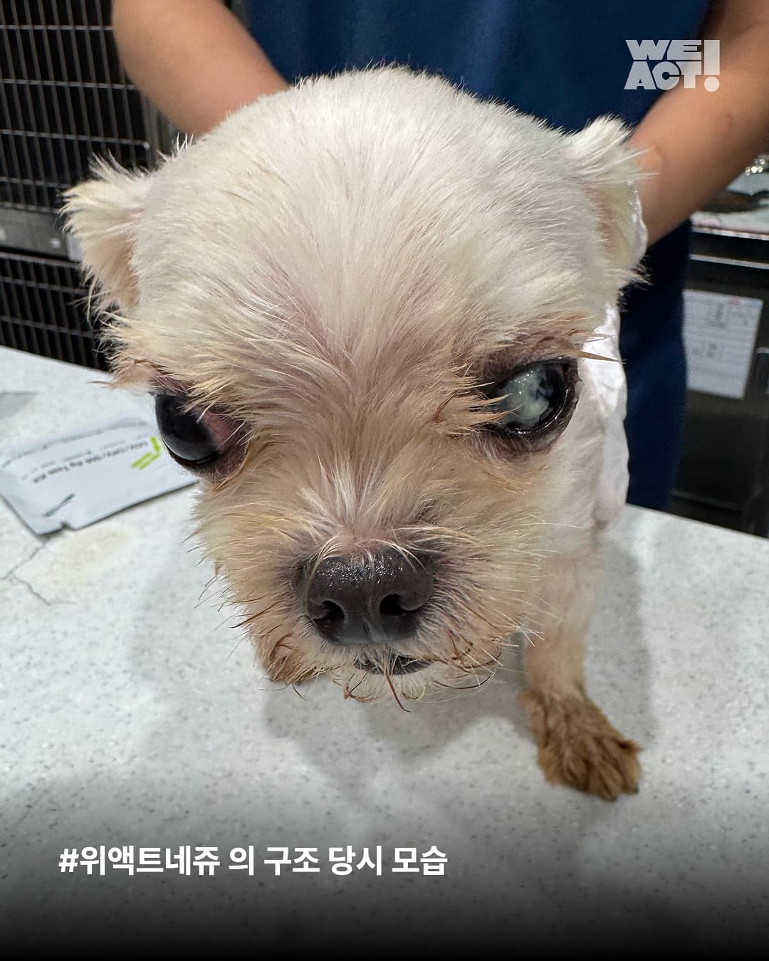 상세 사진 10