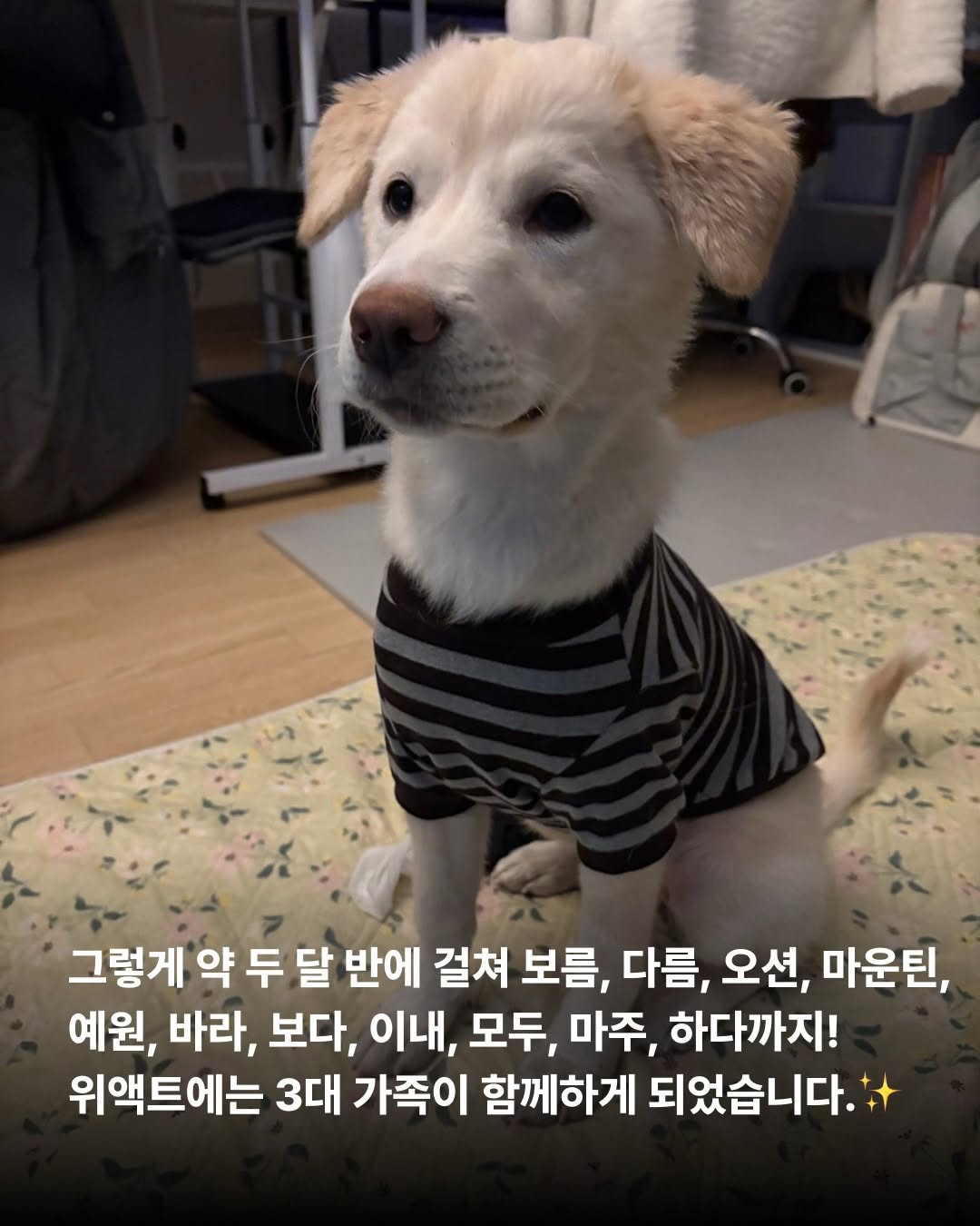 상세 사진 8