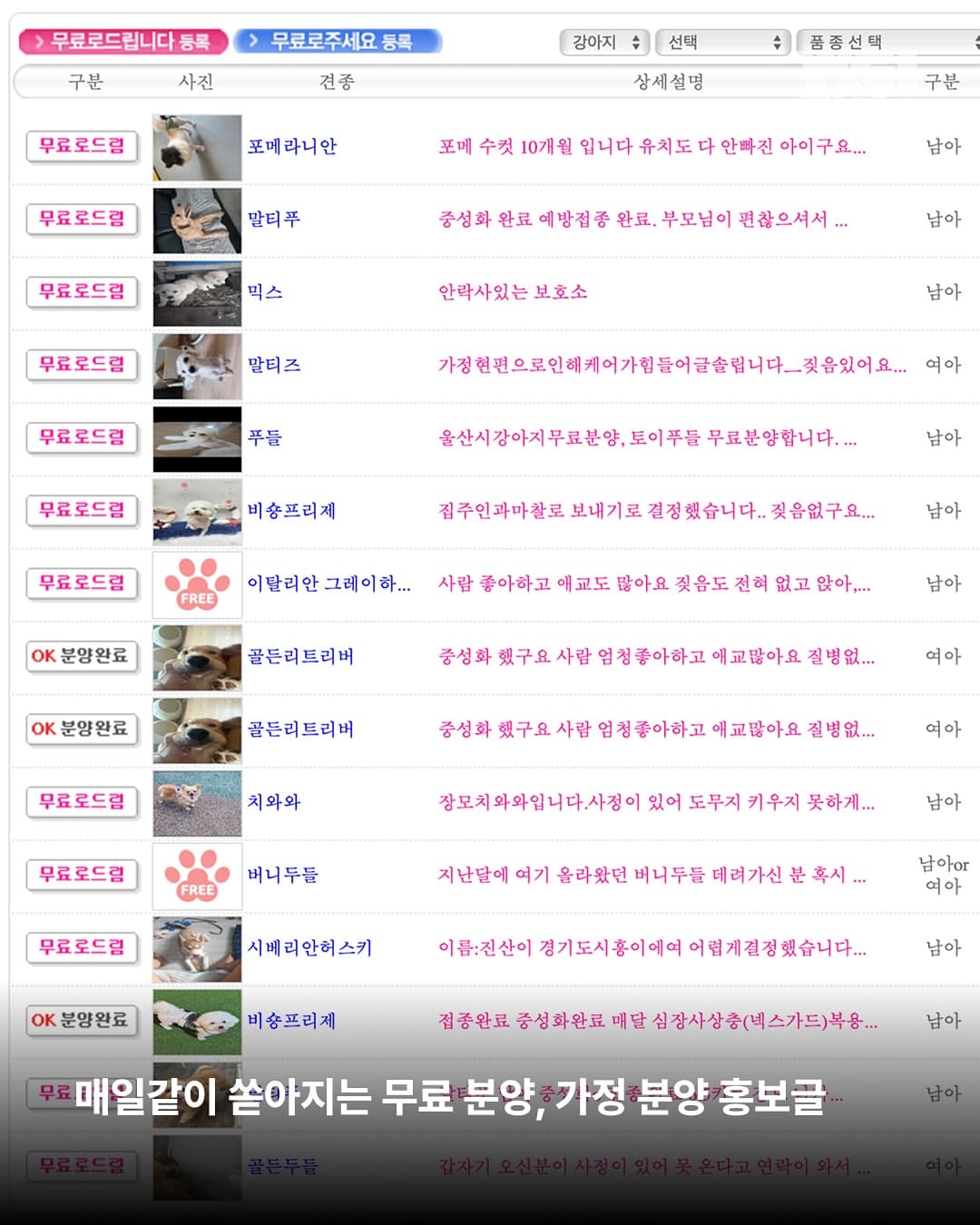 상세 사진 11