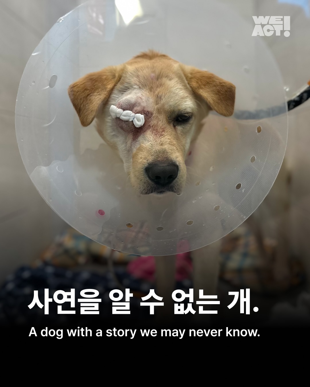상세 사진 1