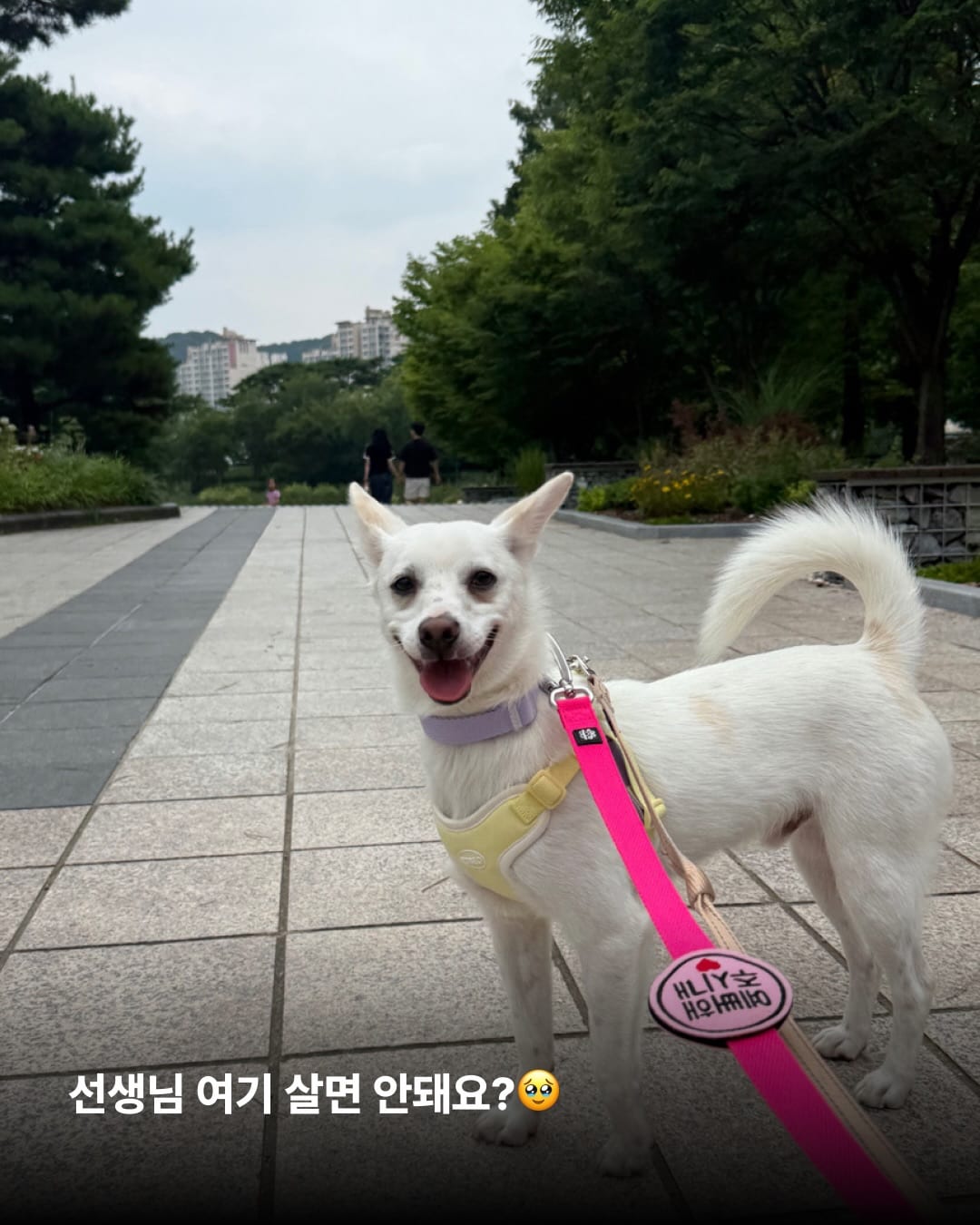상세 사진 10