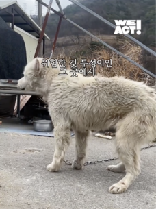 상세 사진 3