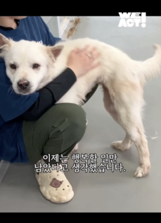 상세 사진 5