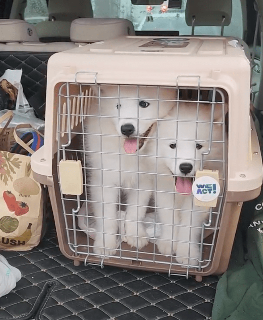 상세 사진 9