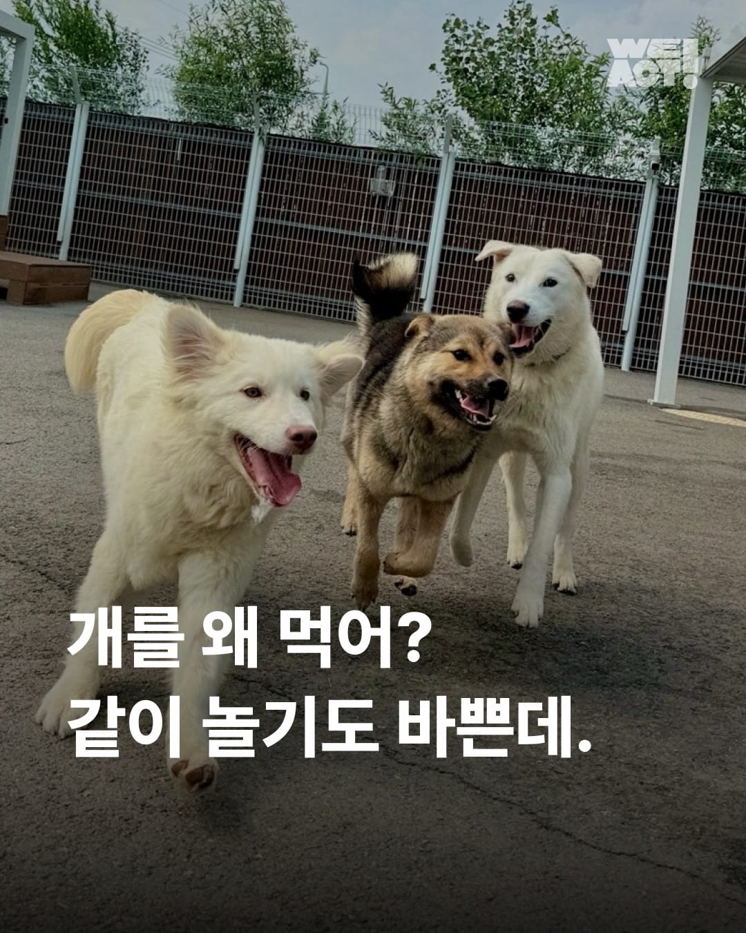 상세 사진 1