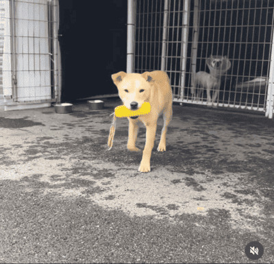 상세 사진 15