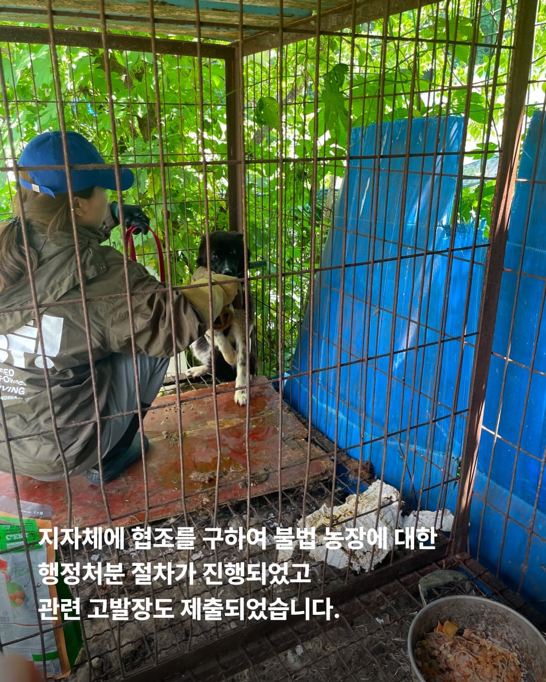 상세 사진 4