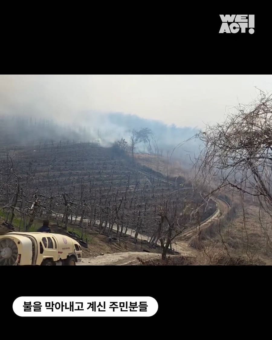 상세 사진 5