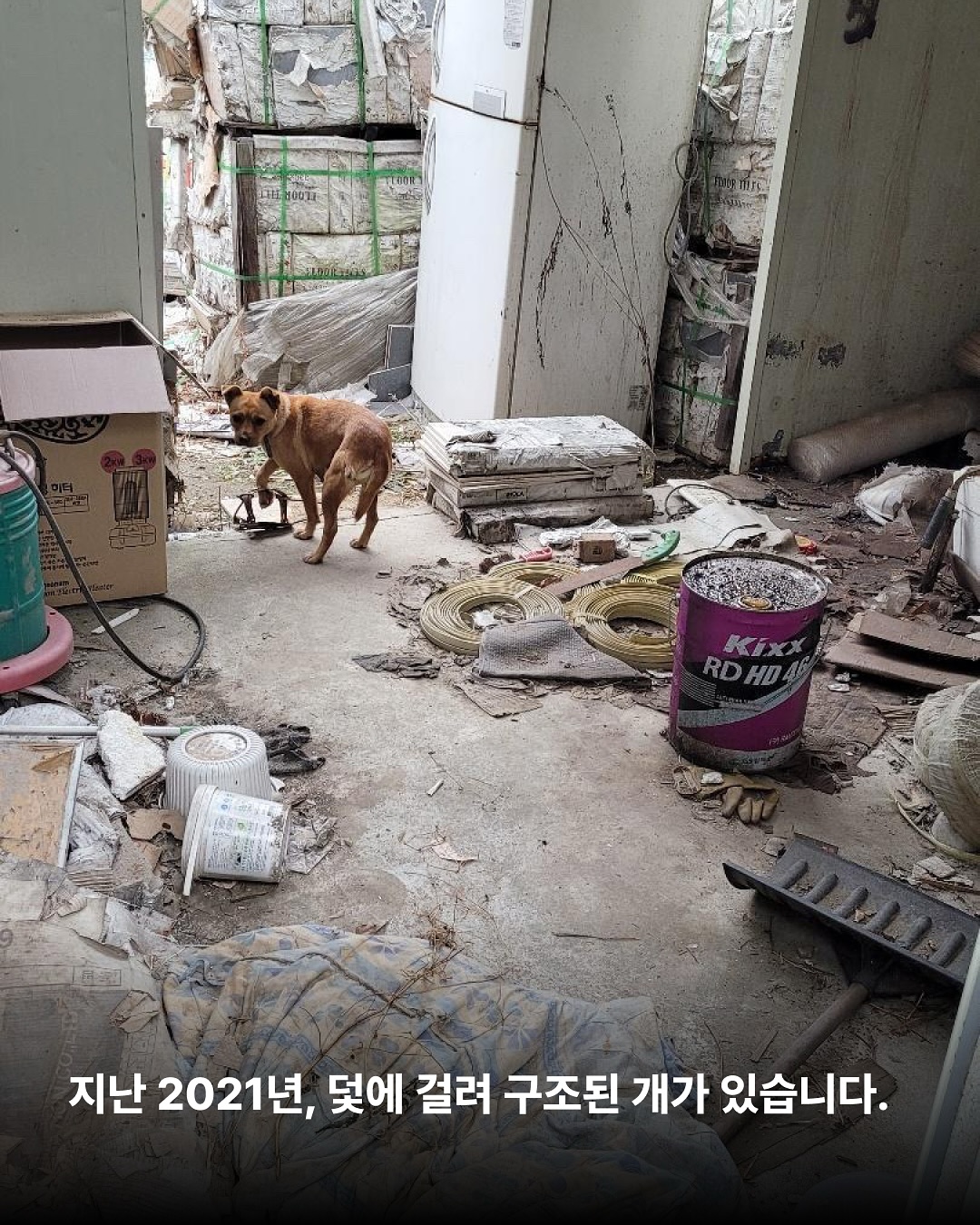 상세 사진 2