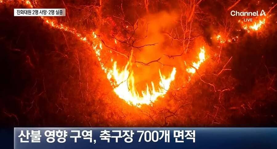 상세 사진 1