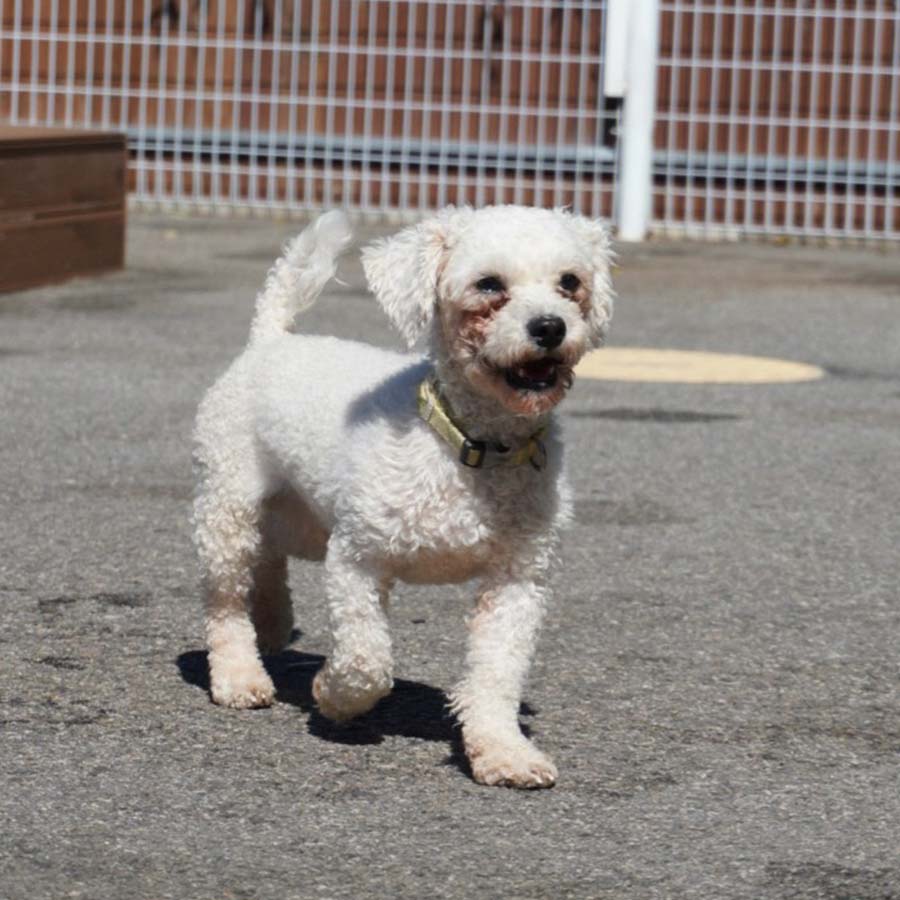상세 사진 2