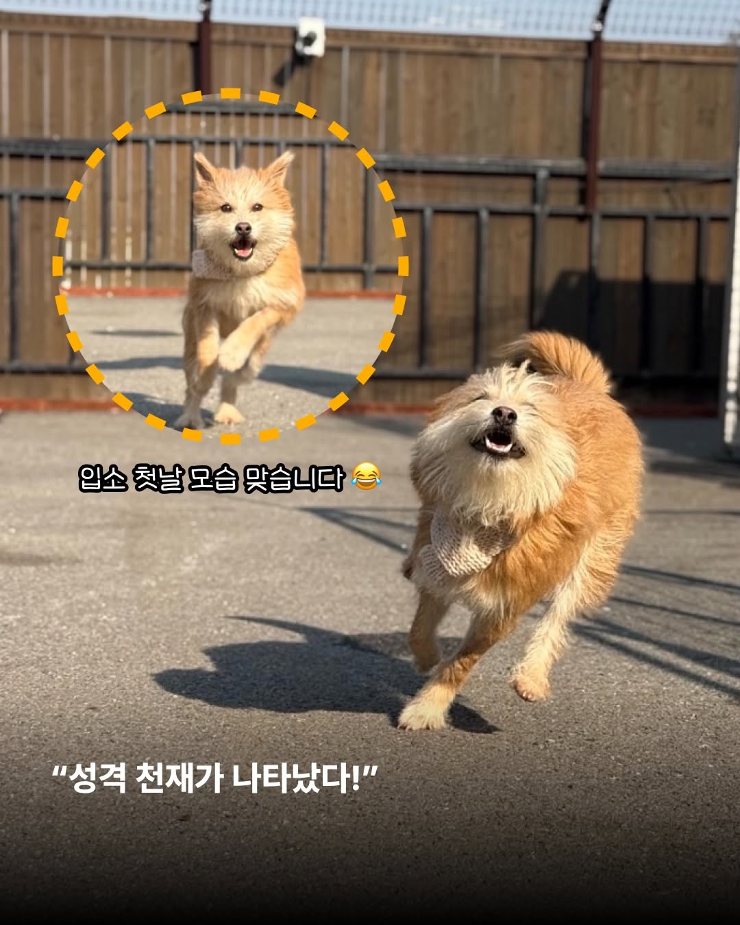 상세 사진 5