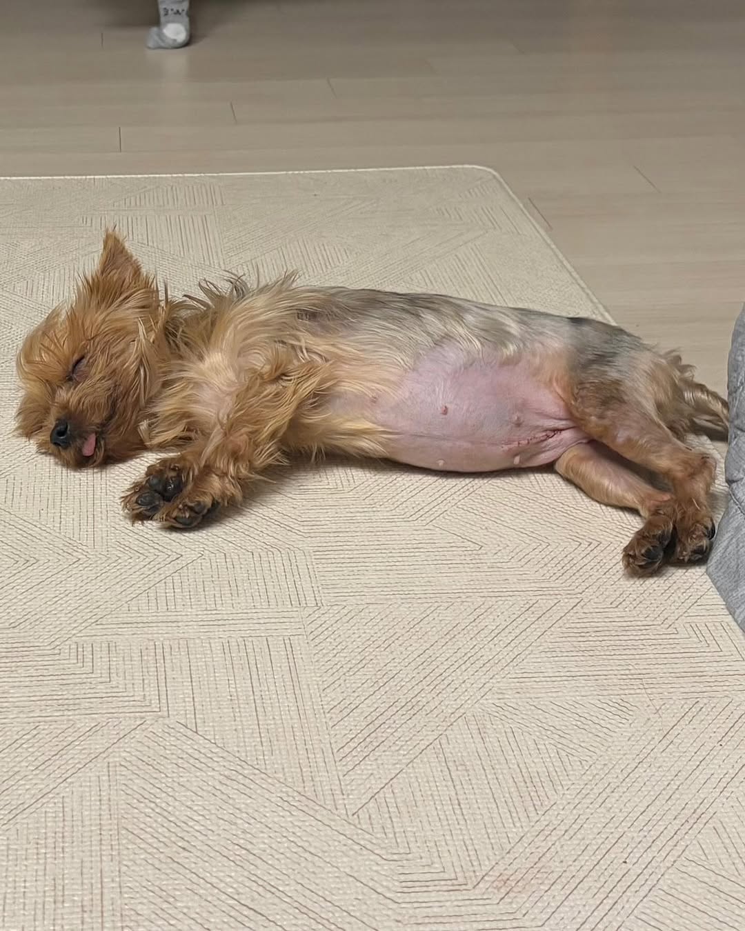 상세 사진 5