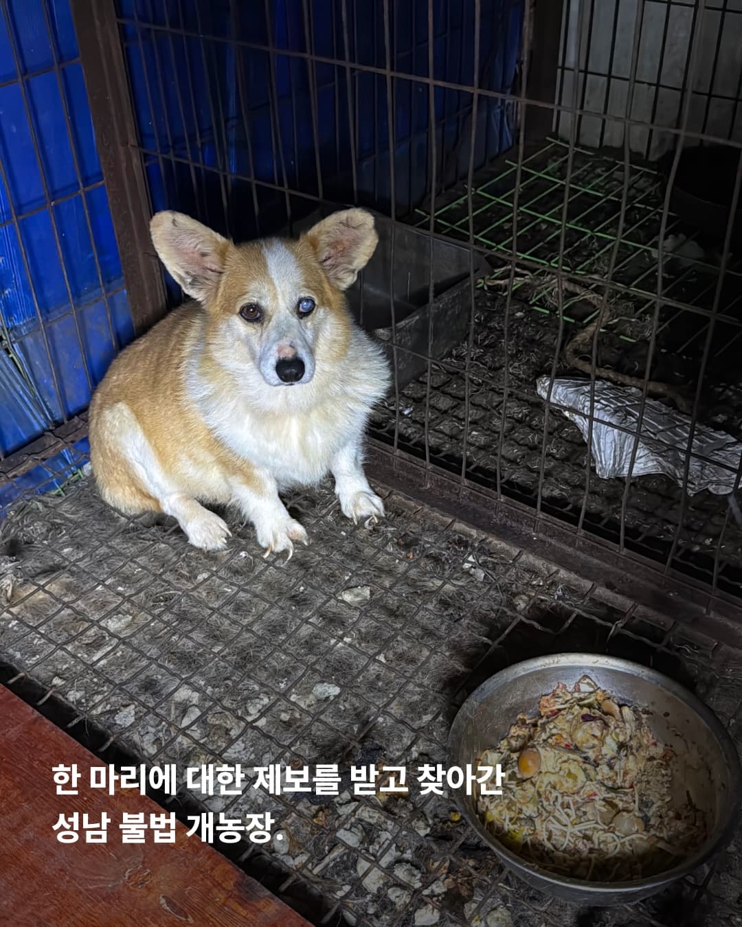 상세 사진 2