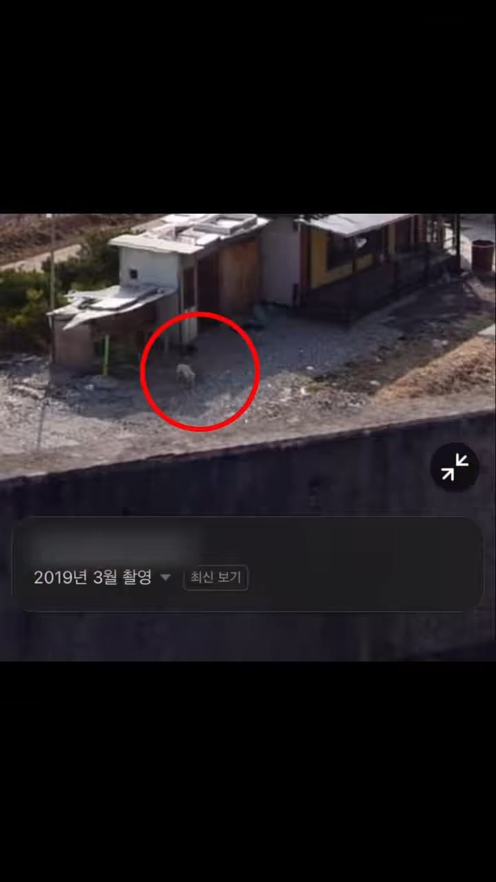상세 사진 5