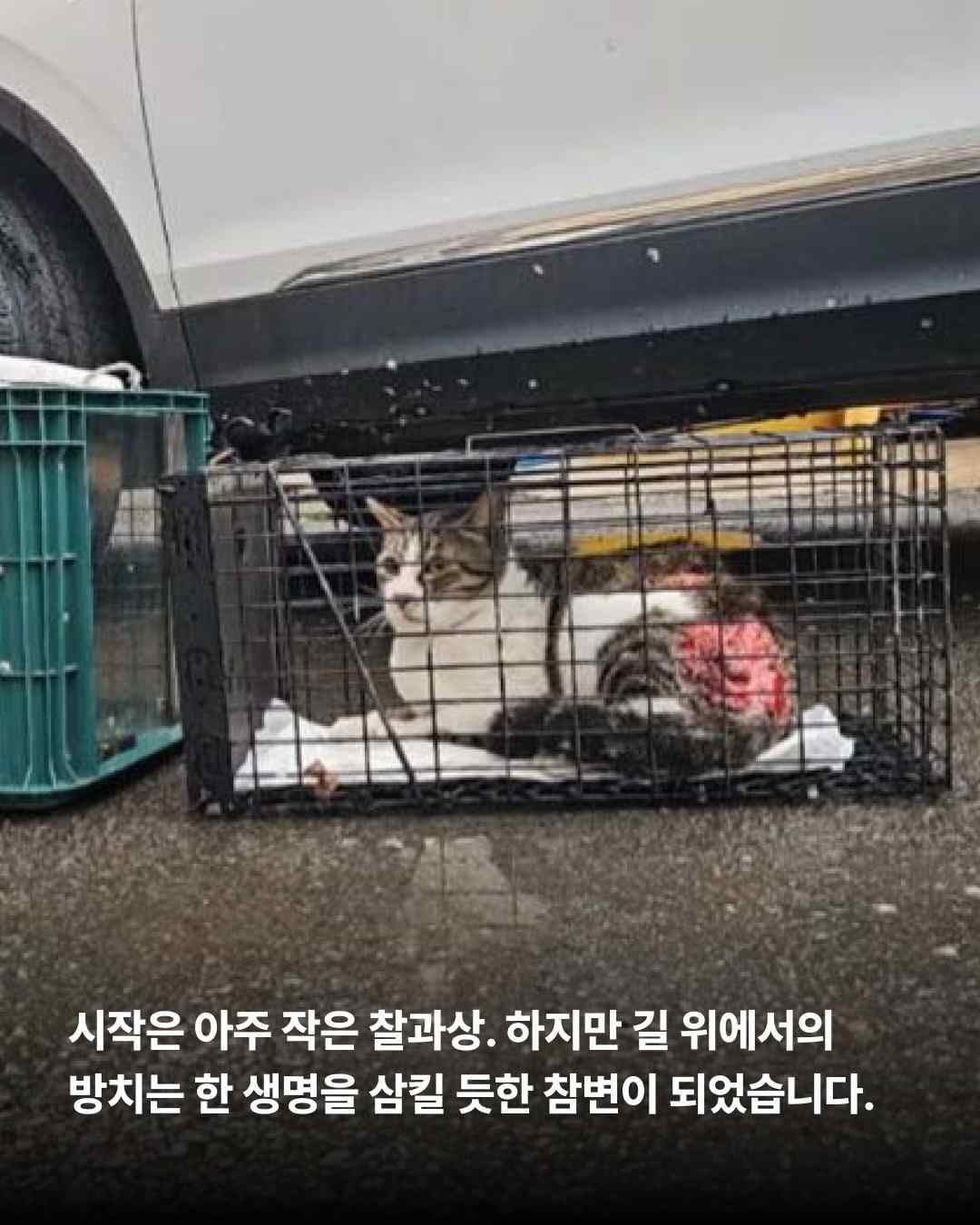 상세 사진 2