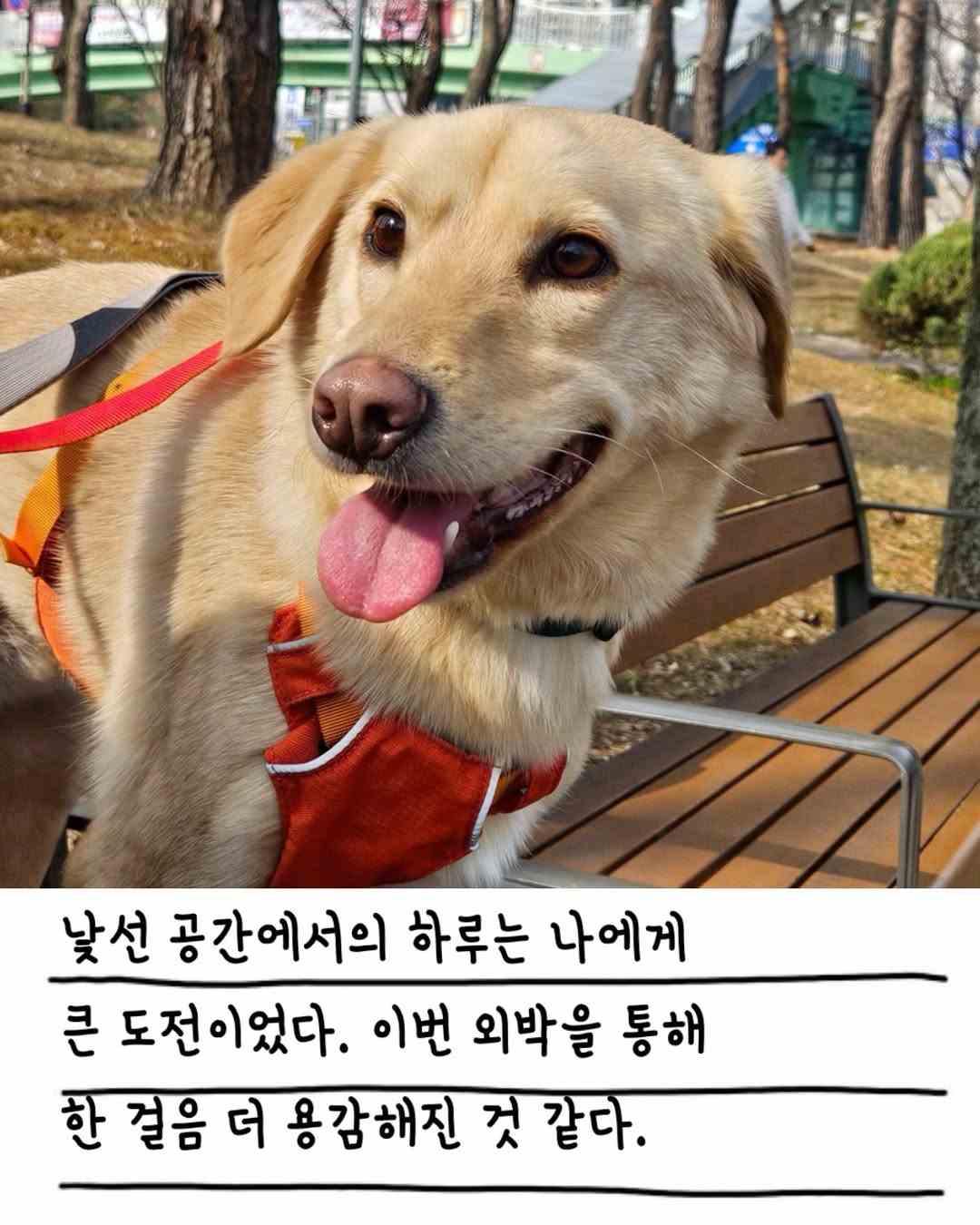 상세 사진 10