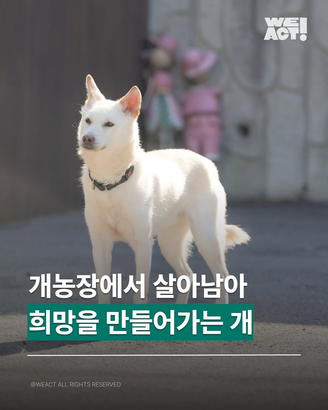 상세 사진 1