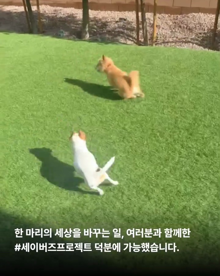 상세 사진 14