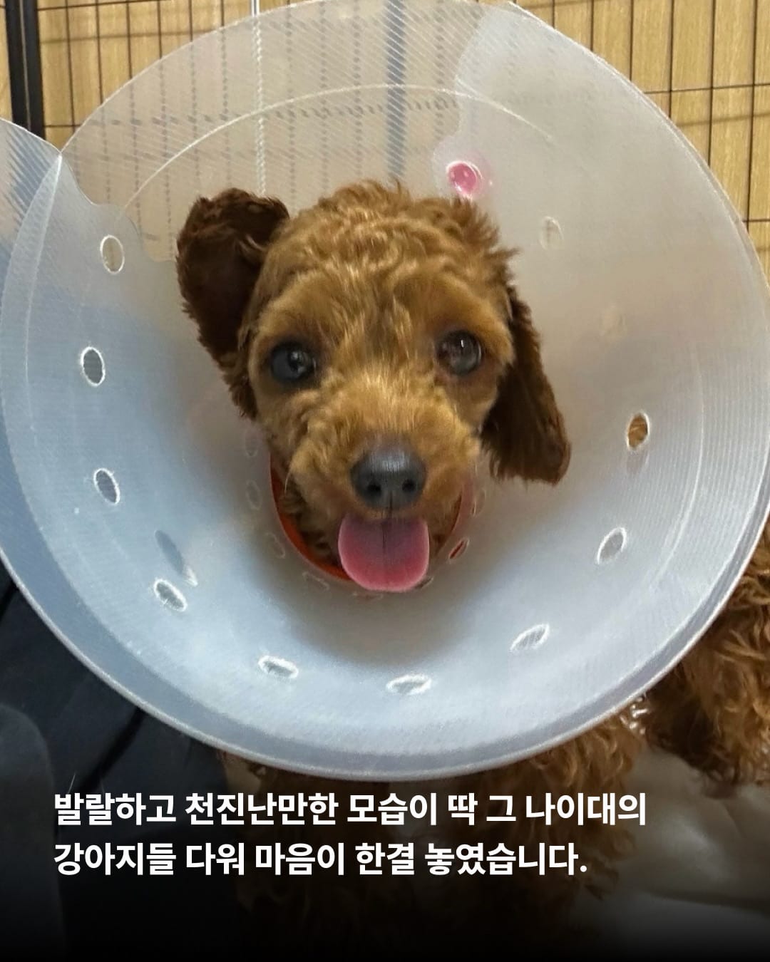상세 사진 7