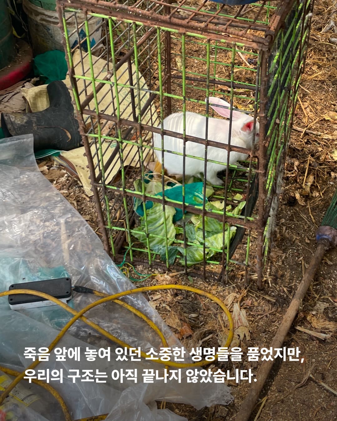 상세 사진 5