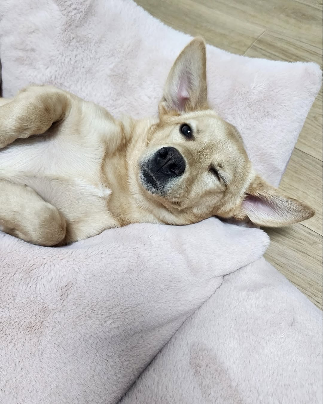 상세 사진 6