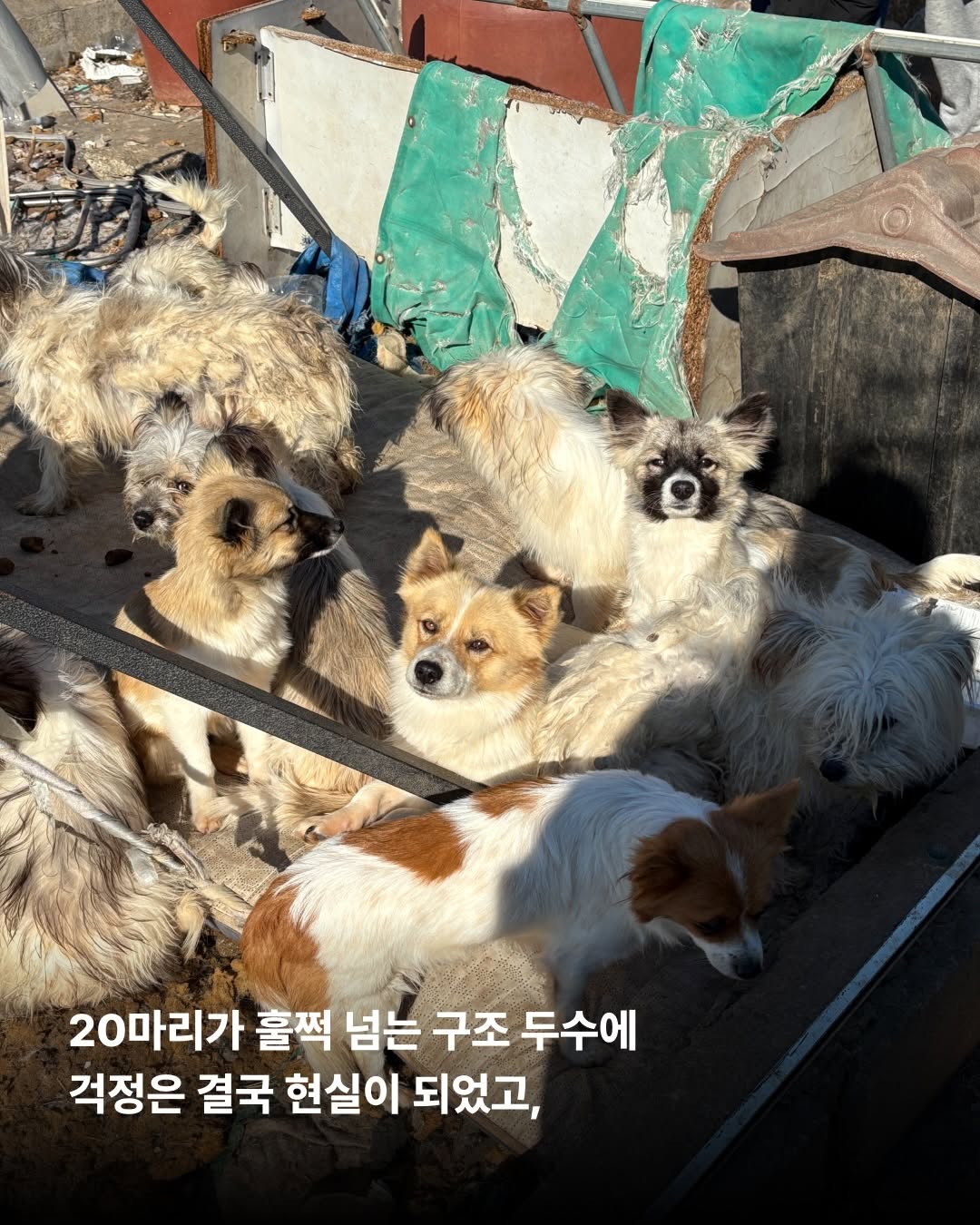 상세 사진 4