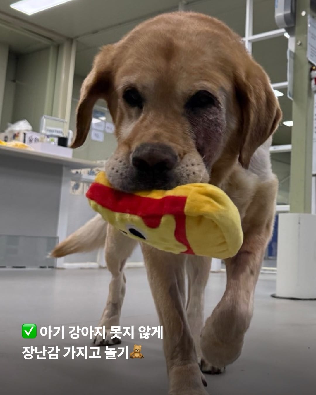 상세 사진 5
