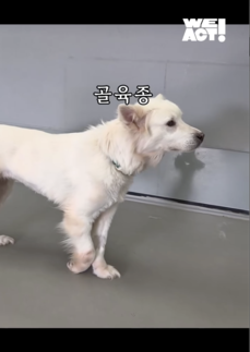 상세 사진 6