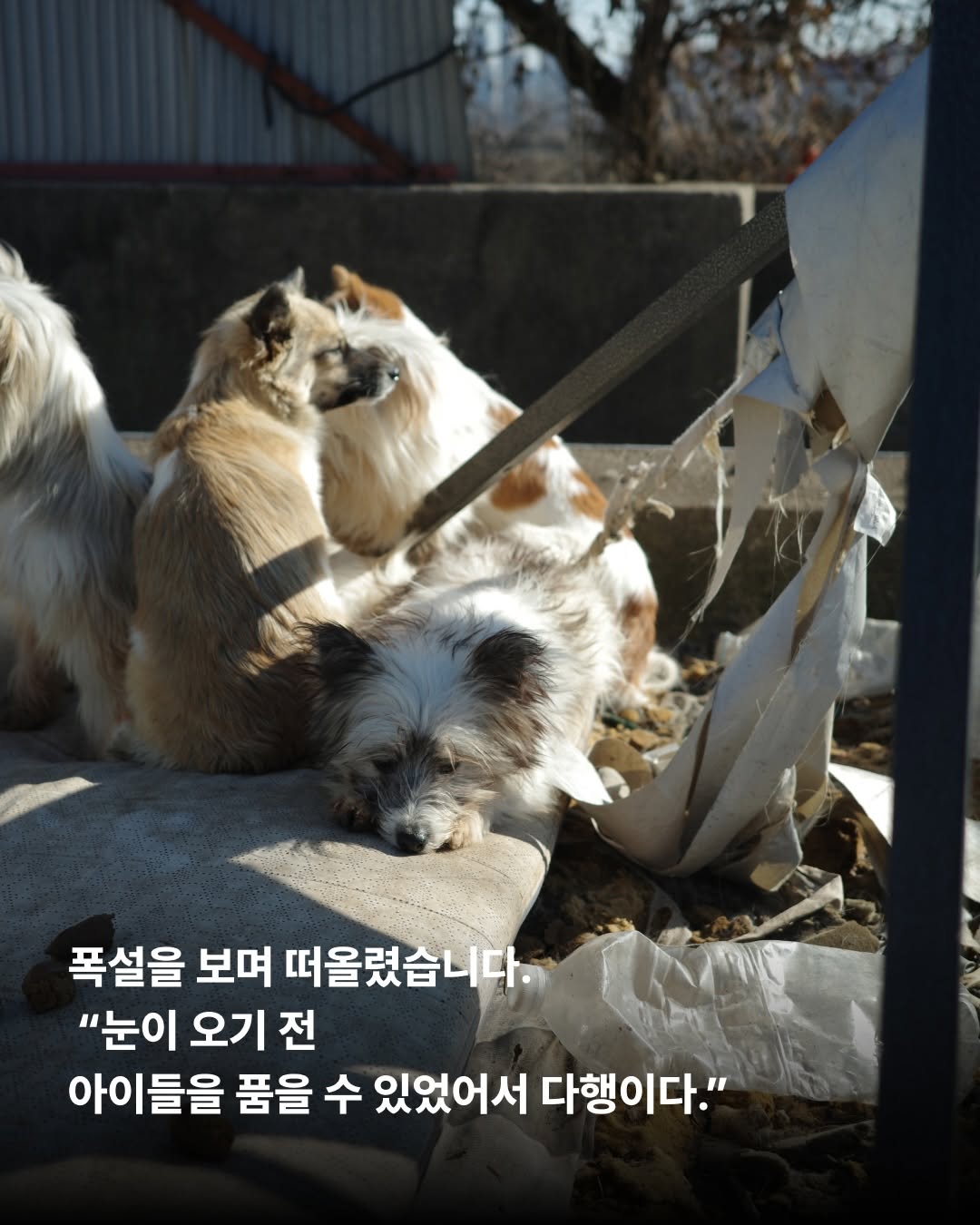 상세 사진 7