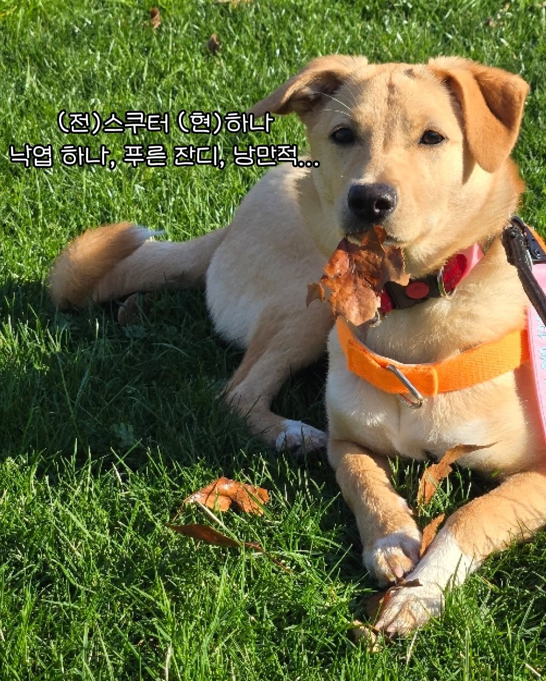 상세 사진 12