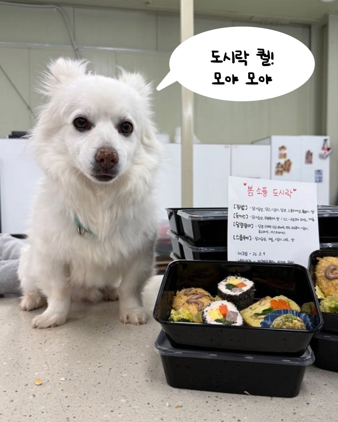 상세 사진 3