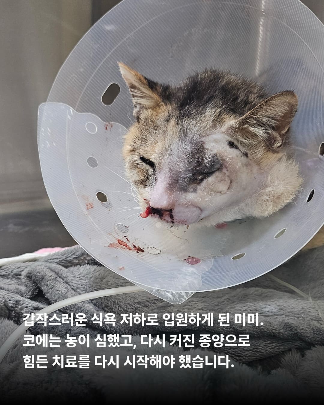 상세 사진 2