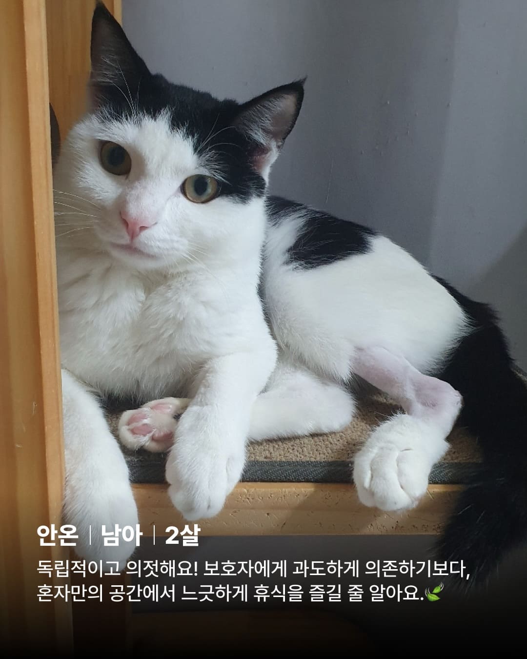 상세 사진 6