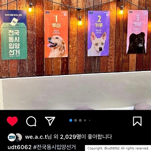상세 사진 8