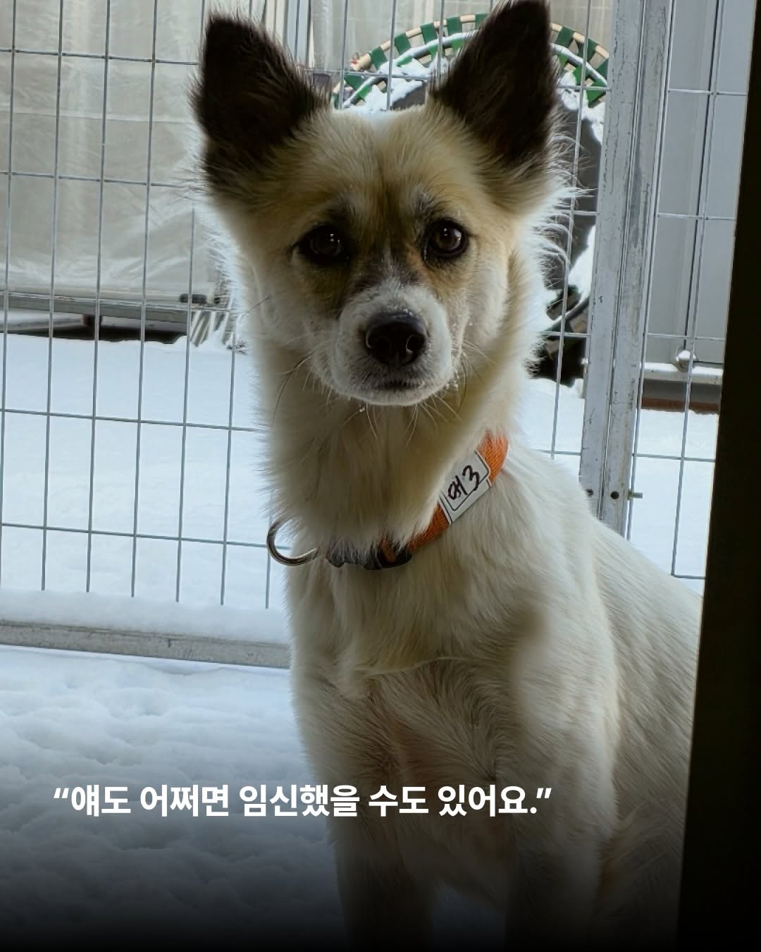 상세 사진 3