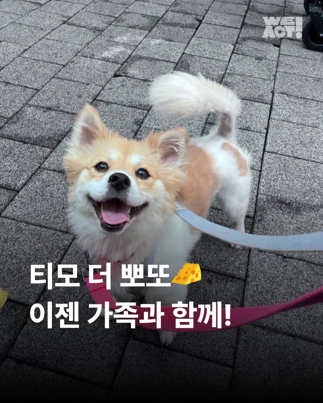 상세 사진 1