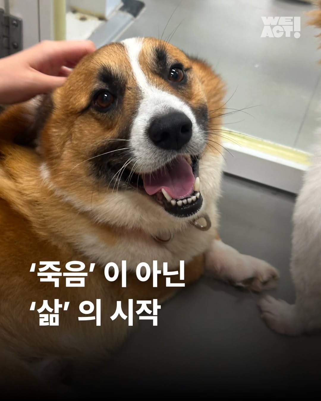 상세 사진 1