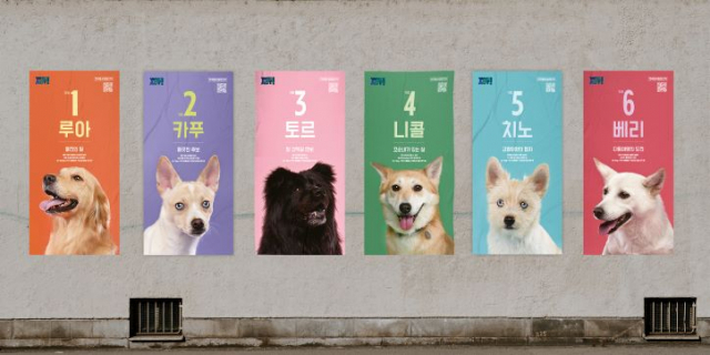 상세 사진 1