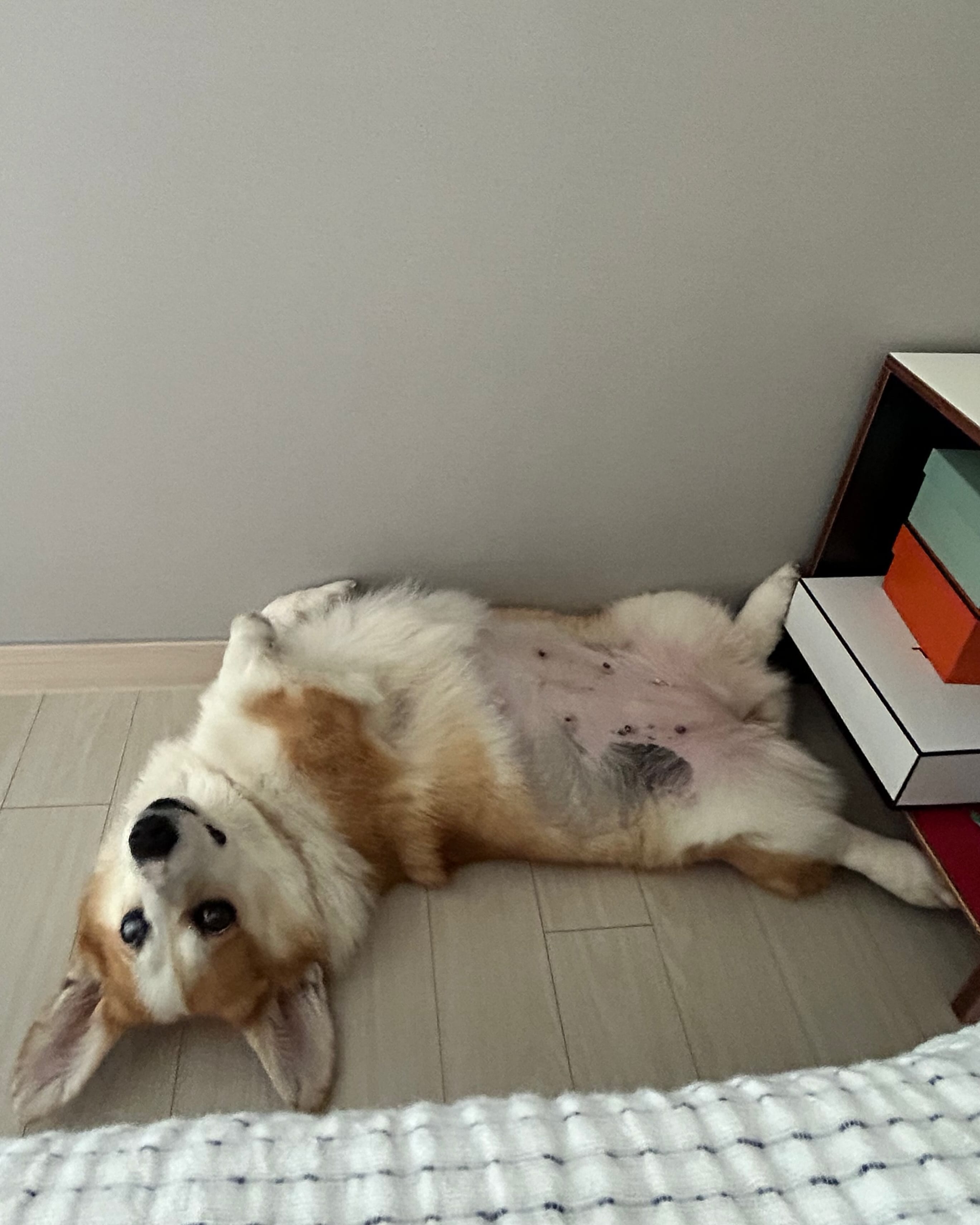 상세 사진 14